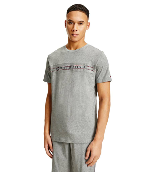 Tommy Hilfiger CN SS TEE PRINT UM0UM02422 P61 L