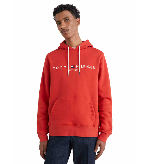 Tommy Hilfiger TOMMY LOGO HOODY MW0MW11599 XNJ L