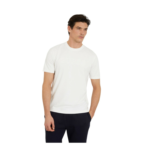 GUESS SS ALPHY T-SHIRT Z2YI11J1314 SCFY L